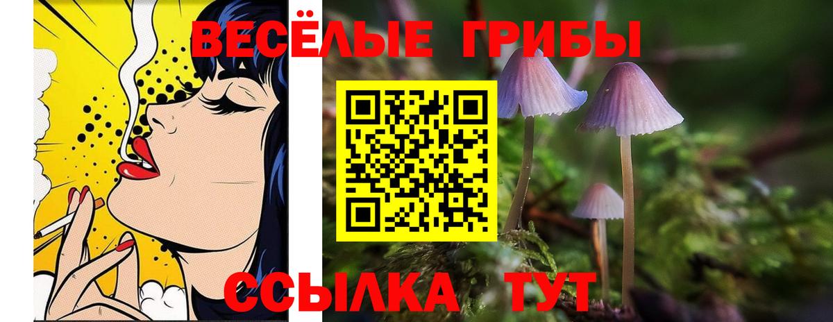 Псилоцибиновые грибы Psilocybine cubensis Бузулук